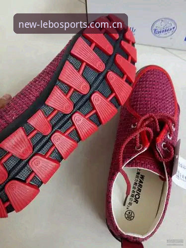 乐宝体育平台注册入口功能详解：新手操作全面评测报告